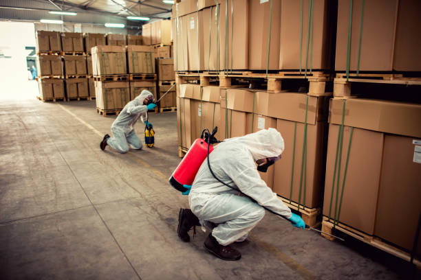 Best Pest Prevention Services  in Warrenvle, IL