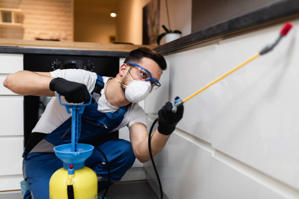 Best Pest Inspection Near Me  in Warrenvle, IL