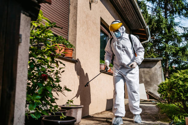 Best Cockroach Control Services  in Warrenvle, IL