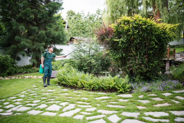 Best Wildlife Control Services  in Warrenvle, IL