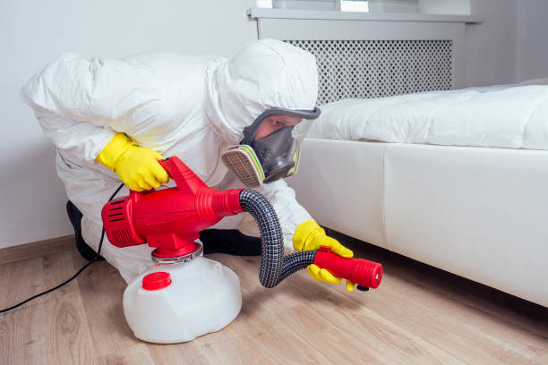 Best Affordable Pest Control Services  in Warrenvle, IL