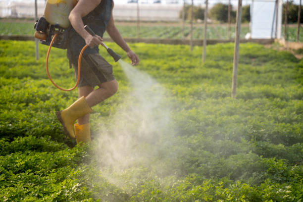 Best Residential Pest Control  in Warrenvle, IL