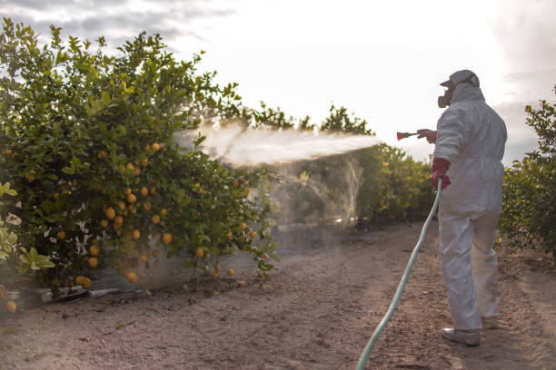 Best Ant Control Services  in Warrenvle, IL