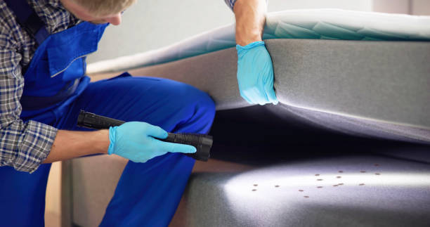 Best Best Pest Control Companies  in Warrenvle, IL