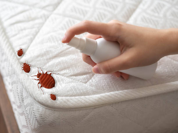 Best Mosquito Control Services  in Warrenvle, IL