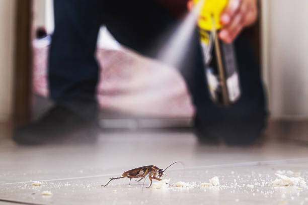 Insect Control in Warrenville, IL