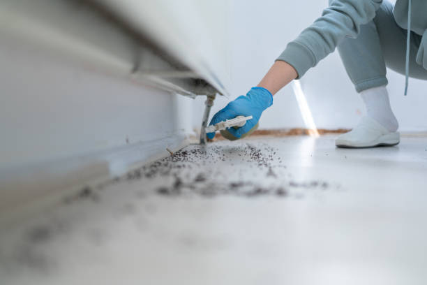 Trusted Warrenville, IL Pest Control Experts